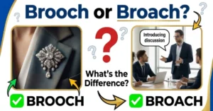 Brooch or Broach